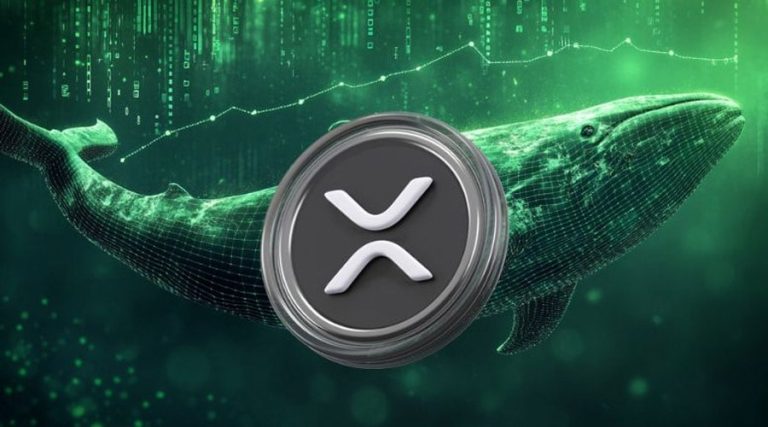 بازگشت طوفانی نهنگ‌های ریپل با انباشت ۳۴۰ میلیون XRP؛ ریزش قیمت متوقف می‌شود؟