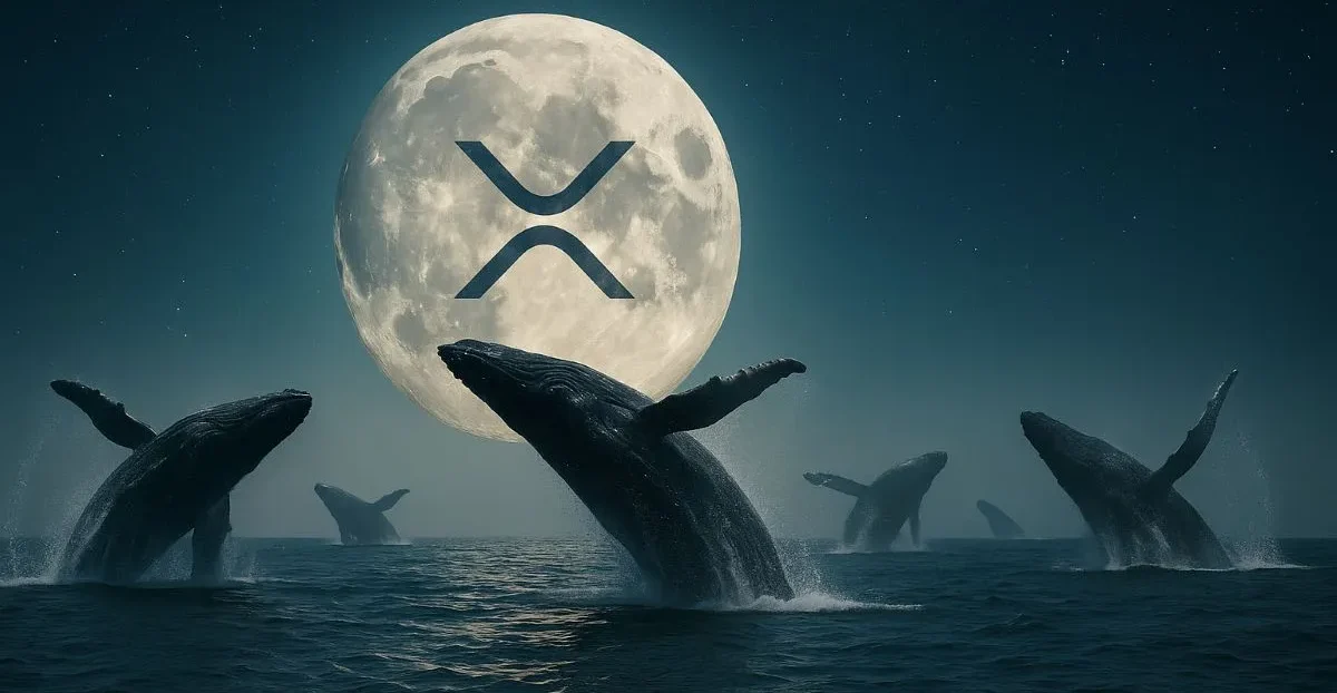 نهنگ‌های ارز دیجیتال ۳.۸ میلیارد دلار ریپل خریداری کردند!