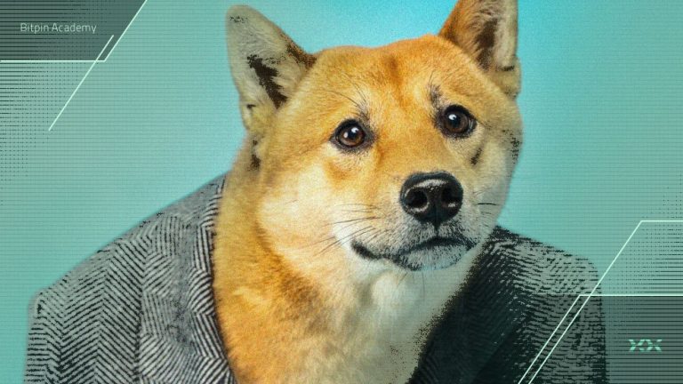 هک پل Shibarium؛ توقف سریع استیکینگ