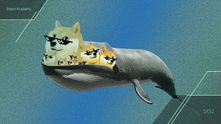 رالی بزرگ دوج کوین با اولین ETF کلید خورد!