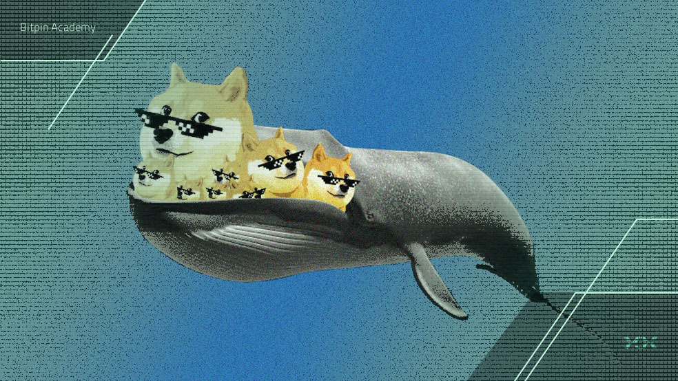 رالی بزرگ دوج کوین با اولین ETF کلید خورد!