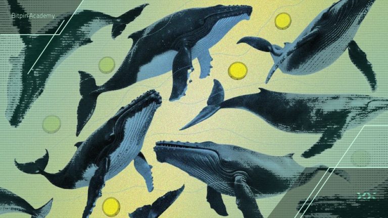 نهنگ‌ها در هفته آخر شهریور کدام آلت کوین‌ها را خریداری کردند؟