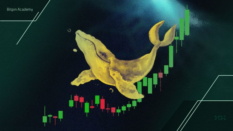 نهنگ‌ها در هفته دوم سپتامبر کدام آلت کوین‌ها را خریداری کردند؟