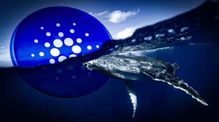 برداشت ۶۸ میلیون ADA توسط نهنگ ناشناس؛ سیگنال مثبت یا تهدیدی برای کاردانو؟