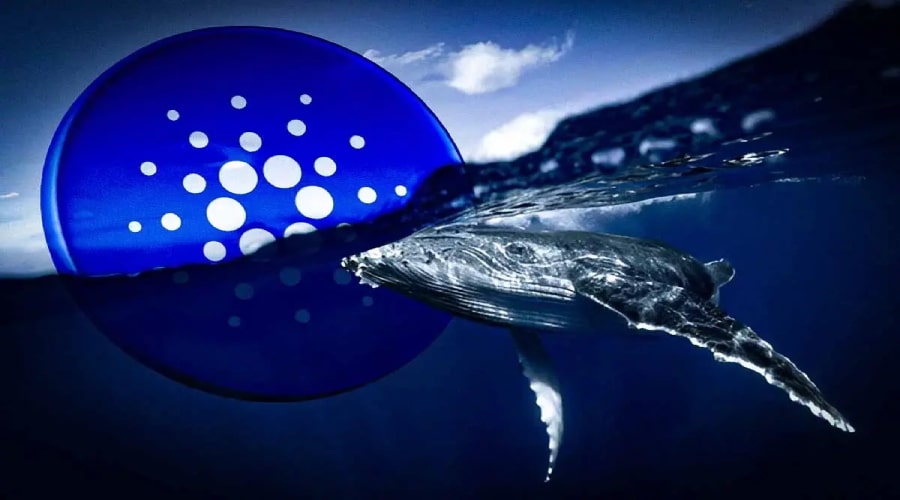 برداشت ۶۸ میلیون ADA توسط نهنگ ناشناس؛ سیگنال مثبت یا تهدیدی برای کاردانو؟