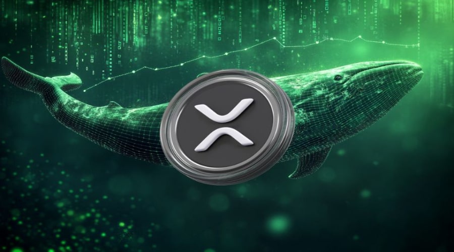 فعالیت نهنگ‌های ریپل به بالاترین سطح ۱۰ ساله رسید! قیمت XRP آماده جهش بزرگ؟