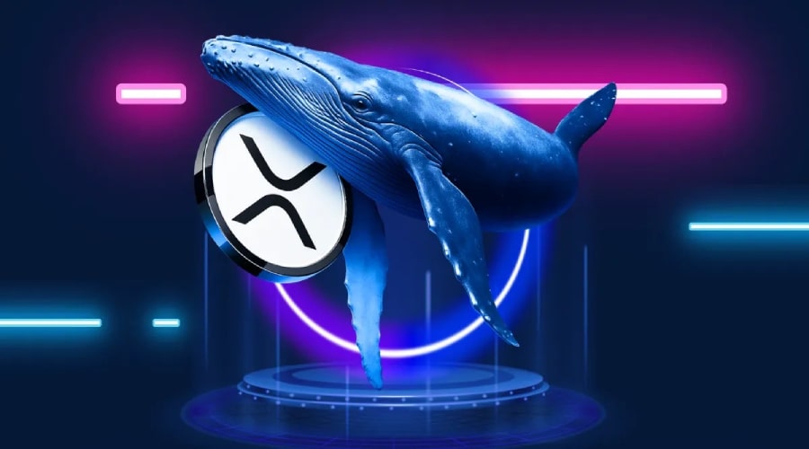 ریسک پنهان در بازار ریپل؛ آیا نهنگ‌ها قیمت XRP را دستکاری می‌کنند؟