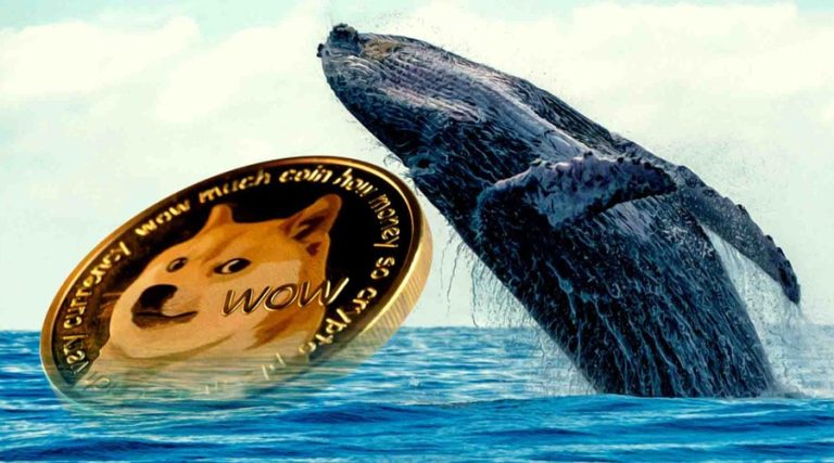 انباشت ۸۹۰ میلیون DOGE در ۳ روز! آیا نهنگ‌ها می‌توانند رالی دوج‌کوین را حفظ کنند؟