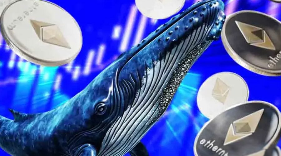 افزایش دو برابری ETH در آدرس هولدرها؛ ادامه اصلاح یا صعود قیمت؟