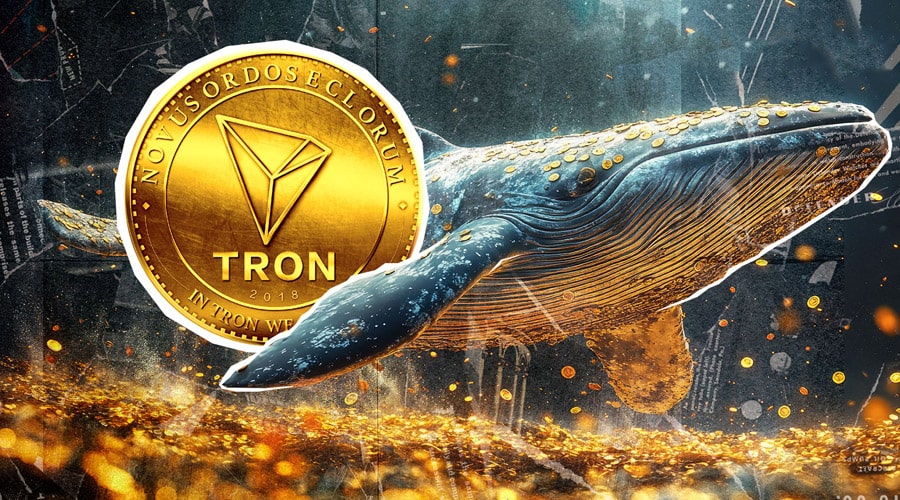 هجوم نهنگ‌ها به ترون؛ TRX آماده روند صعودی؟
