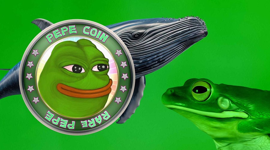 پیشتازی PEPE در بازار کریپتو؛ نهنگ‌ها در پی شکار میم قورباغه‌ای!