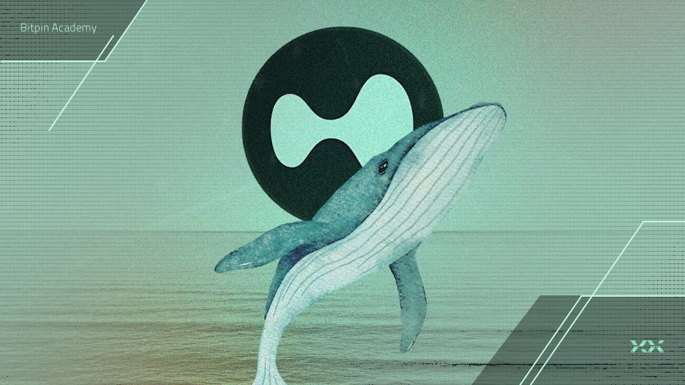 نهنگ مرموز هایپر لیکویید (HYPE) کیست؟ ردپای مدیر جنجالی BitForex در میان است!