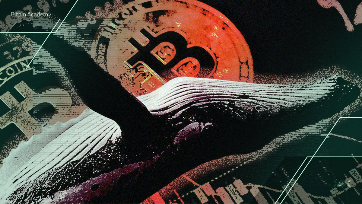 شرط بزرگ علیه بیت کوین! آیا نهنگ‌ها از چیزی خبر دارند که ما نمی‌دانیم؟