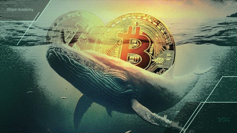 بلوغ بازار بیت‌ کوین؛ خودداری نهنگ‌ها از فروش‌ هیجانی