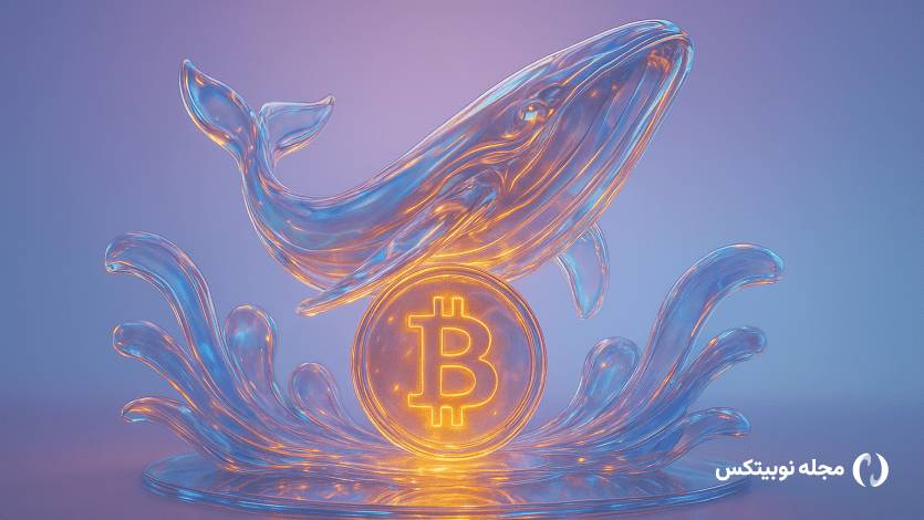 واکنش نهنگ‌ها به رشد بیت کوین چه بود؟