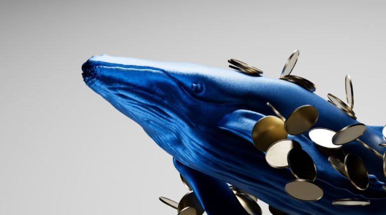 پس از کاهش نرخ بهره توسط فدرال رزرو، نهنگ‌ها این ۳ آلت‌کوین را انباشت می‌کنند!