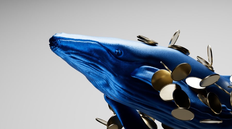 پس از کاهش نرخ بهره توسط فدرال رزرو، نهنگ‌ها این ۳ آلت‌کوین را انباشت می‌کنند!