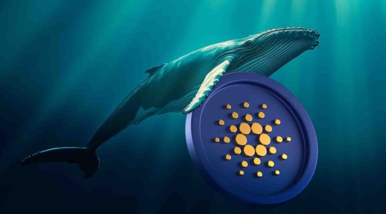 عقب‌نشینی معامله‌گران خرد کاردانو؛ آیا انباشت نهنگ‌ها قیمت ADA را صعودی می‌کند؟