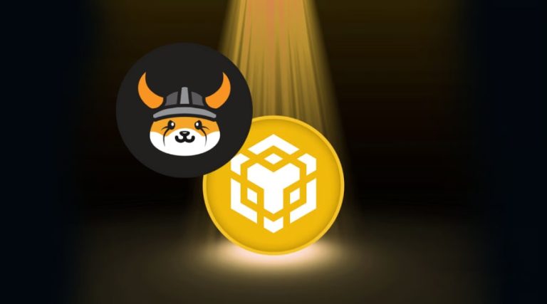 همزمان با درخشش بایننس‌کوین، فلوکی دوباره روی رادار سرمایه‌گذاران!