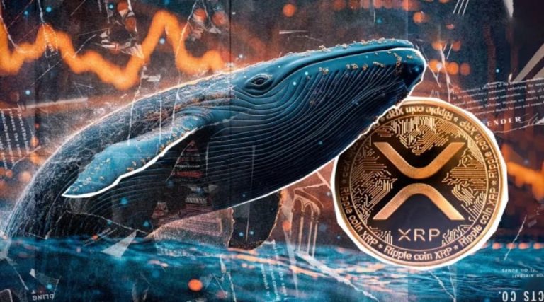 بازار ریپل زیر فشار فروش ۴۴۰ میلیونی نهنگ‌ها؛ چه آینده‌ای در انتظار قیمت است؟