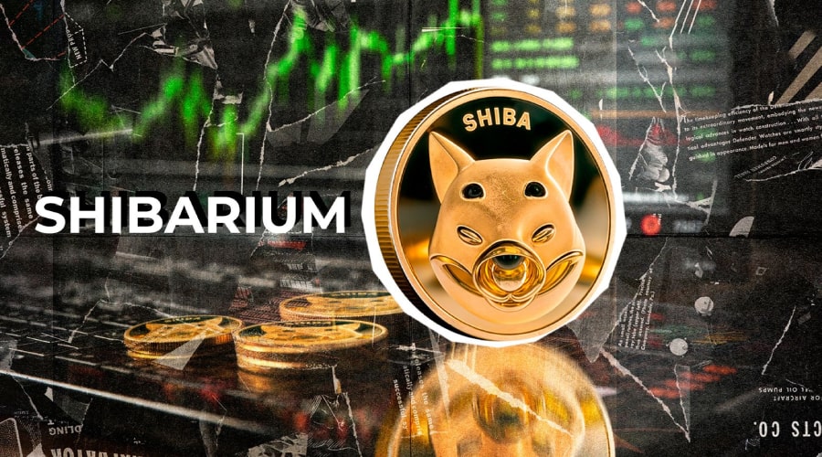 پل شیباریوم دوباره فعال شد! خسارت هک ۲.۴ میلیون دلاری کی پرداخت می‌شود؟