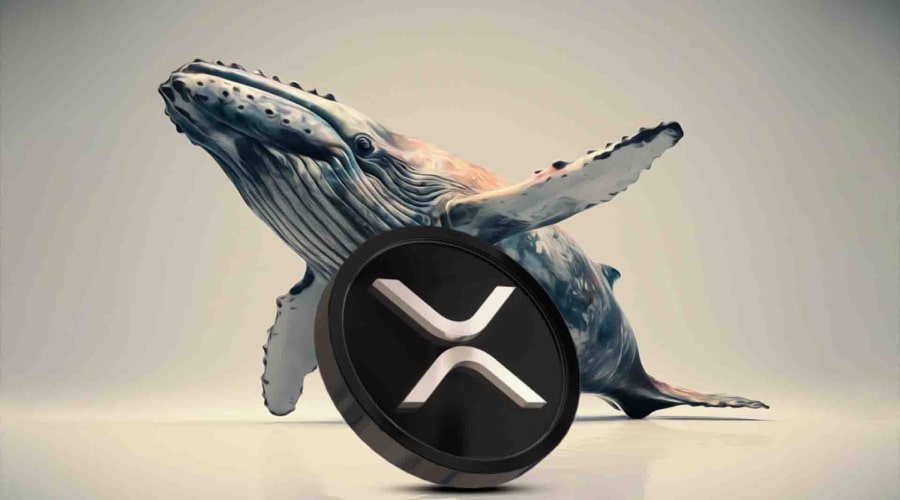 ذخایر نهنگ‌های ریپل به کف سه ساله رسید! قیمت XRP در خطر ریزش بیشتر؟