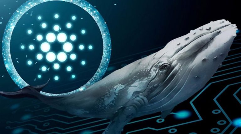 انباشت ۱۴۰ میلیون ADA توسط نهنگ‌های کاردانو؛ نشانه تغییر روند نزولی؟