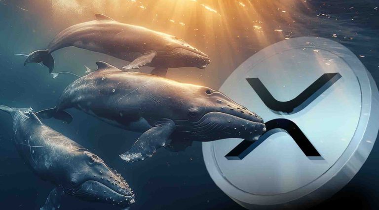 فشار فروش نهنگ‌های ریپل شدت گرفت! حمایت کلیدی ۲ دلار در خطر سقوط؟