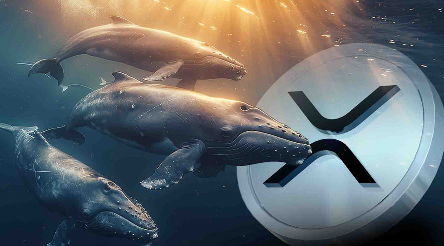 فشار فروش نهنگ‌های ریپل شدت گرفت! حمایت کلیدی ۲ دلار در خطر سقوط؟