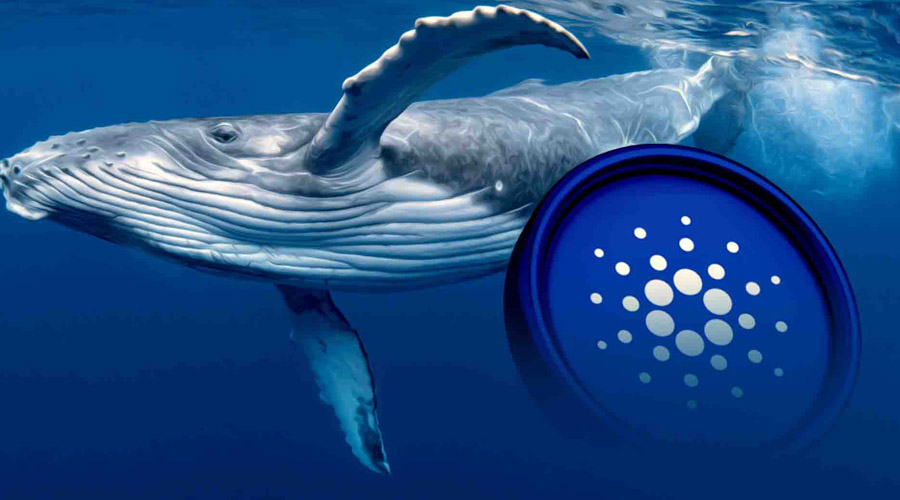 توقف کاردانو در ۰.۷ دلار؛ فروش ۳۵۰ میلیونی نهنگ‌ها قیمت را تا کجا پایین می‌برد؟