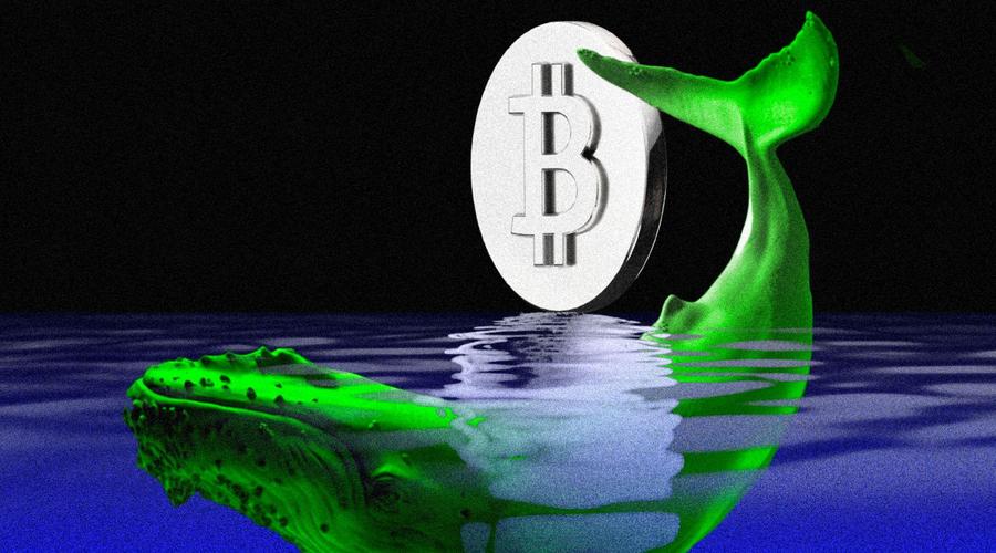 سود ۱۷ میلیون دلاری نهنگ مرموز در بازار پرنوسان کریپتو؛ راز موفقیت او چیست؟