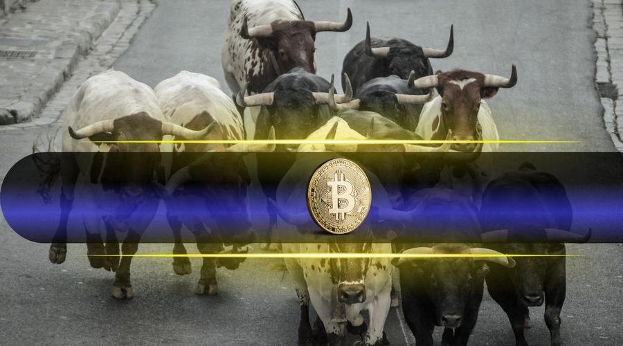 ترس شدید در بازار بیت‌کوین؛ رالی گاوی به پایان رسیده یا همچنان ادامه دارد؟