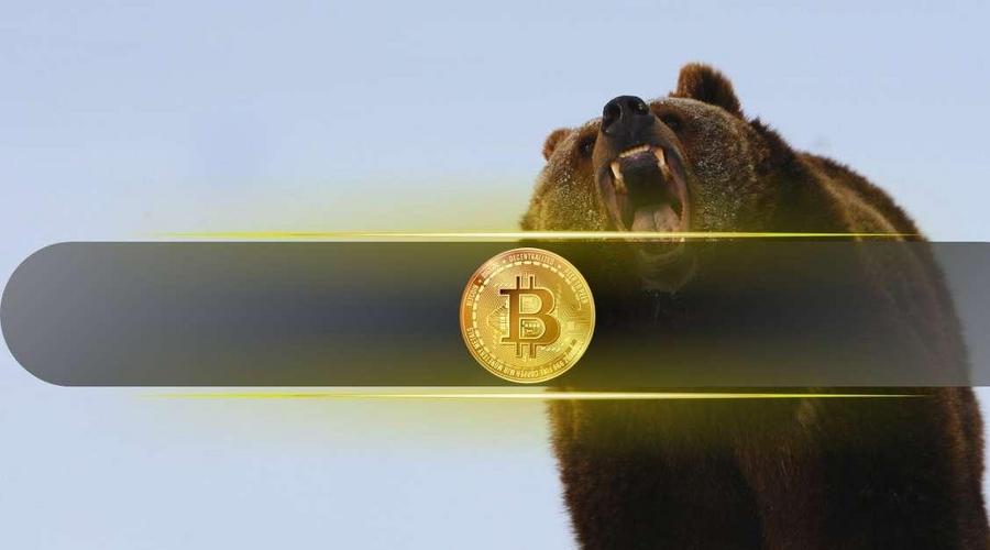 هشدار تحلیلگر معروف: اگر این حمایت مهم از دست برود، بازار خرسی شروع می‌شود!