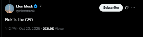 ایلان ماسک با انتشار یک توییت قیمت میم کوین فلوکی را پامپ کرد!