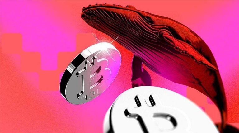 ۴۵ درصد از ذخیره نهنگ‌های بیت‌کوین در اختیار تازه‌واردها؛ چرا تحلیلگران نگران‌اند؟