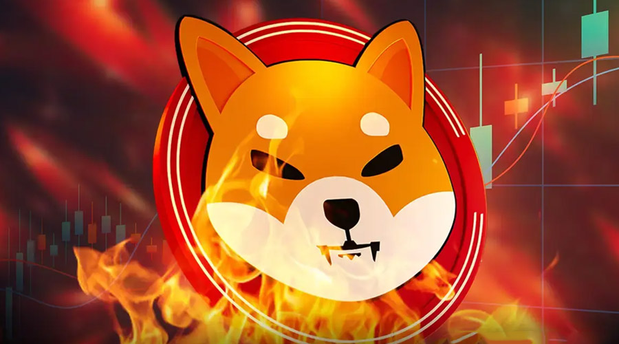 از توکن‌سوزی شدید تا نشانه‌های بازگشت؛ SHIB آماده صعود؟