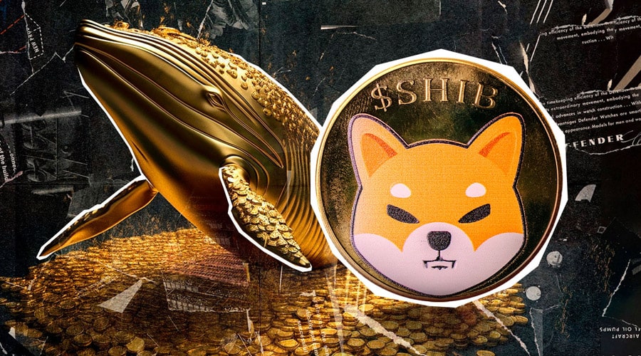 بازگشت نهنگ‌های شیبا اینو؛ وقت جهش به ۰.۰۰۰۰۱۳ دلار رسیده؟