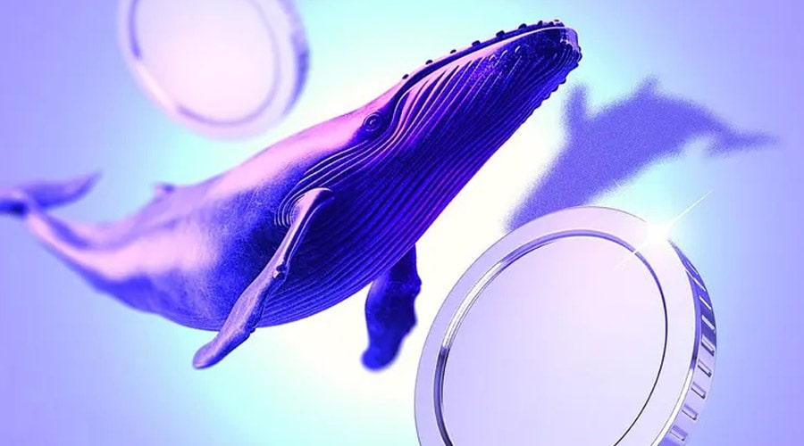 با صعودی شدن بازار کریپتو، نهنگ‌ها مشغول خرید و فروش چه رمزارزهایی هستند؟