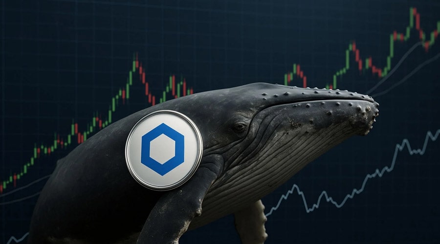 انباشت میلیونی نهنگ‌ها؛ چین‌لینک وارد «منطقه انباشت ایده‌آل» شد!