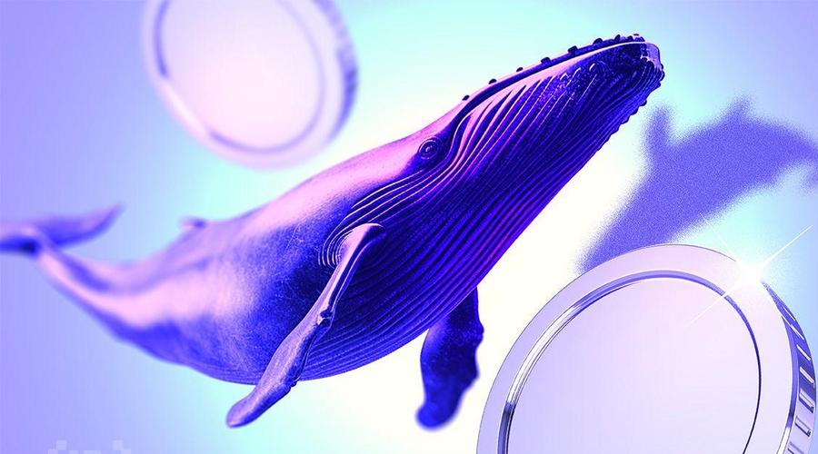 از سقوط تا جهش؛ نهنگ‌ها در بازار پرنوسان کریپتو چه رمزارزهایی را معامله کردند؟