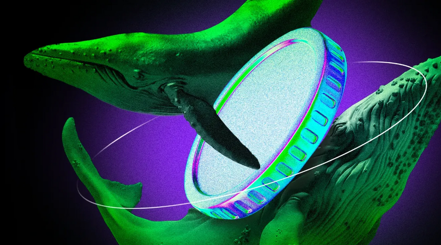 نهنگ‌های کریپتو در پی ریزش ناشی از تعرفه ۱۰۰ درصدی ترامپ چه می‌خرند؟