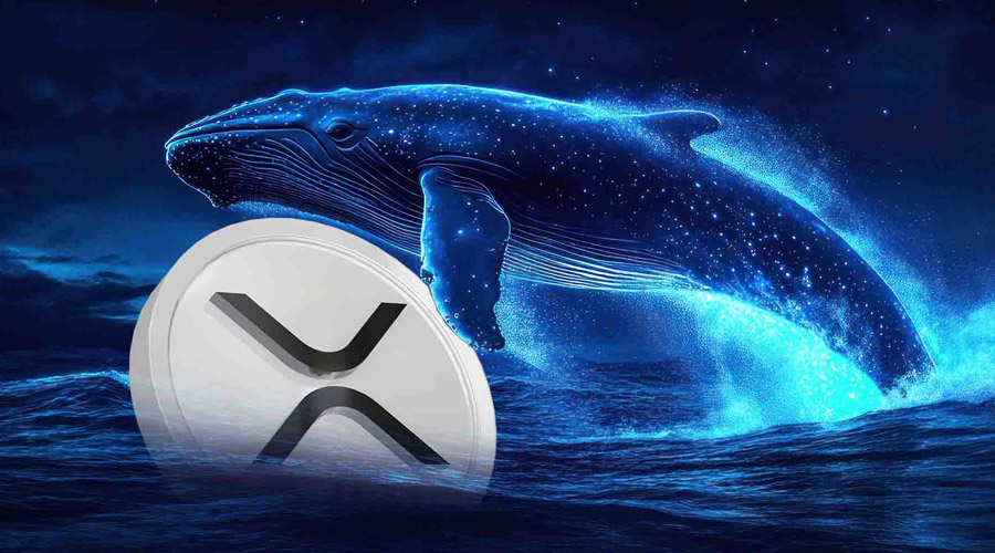سقوط ۲۰ درصدی ریپل با فروش میلیاردی نهنگ‌ها؛ آینده قیمت XRP چه خواهد شد؟