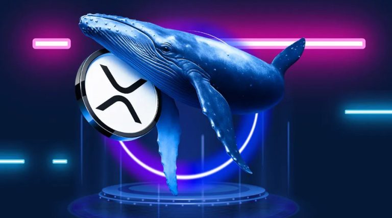 انباشت گسترده ریپل در کف بازار نزولی؛ تعداد نهنگ‌های XRP رکورد شکست!