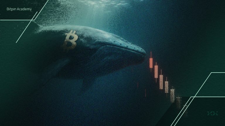 نهنگ افسانه‌ای ۳۹۲ میلیون دلار روی سقوط بیت کوین شرط بست؛ تاریخ تکرار می‌شود؟
