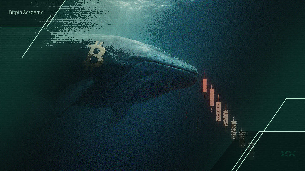 نهنگ افسانه‌ای ۳۹۲ میلیون دلار روی سقوط بیت کوین شرط بست؛ تاریخ تکرار می‌شود؟