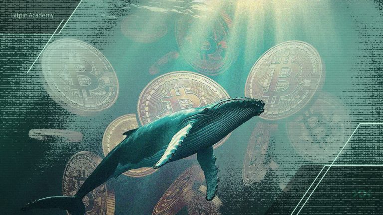 انباشت پنهان نهنگ‌های بیت کوین در سایه ترس حاکم بر بازار