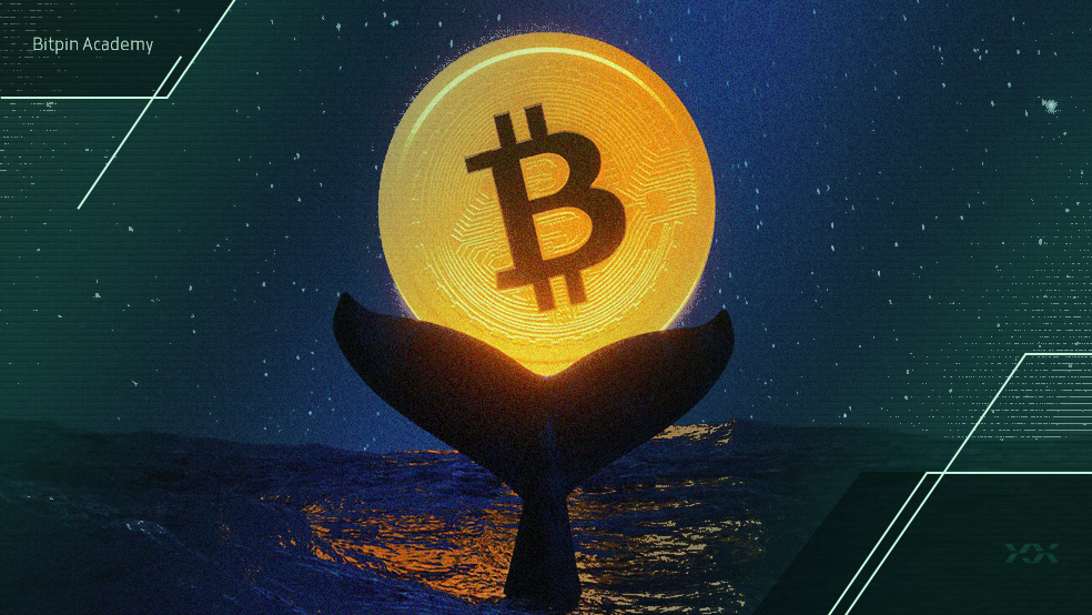 تریدری که از سقوط اخیر بیت کوین ۸۸ میلیون دلار کسب کرد کیست؟