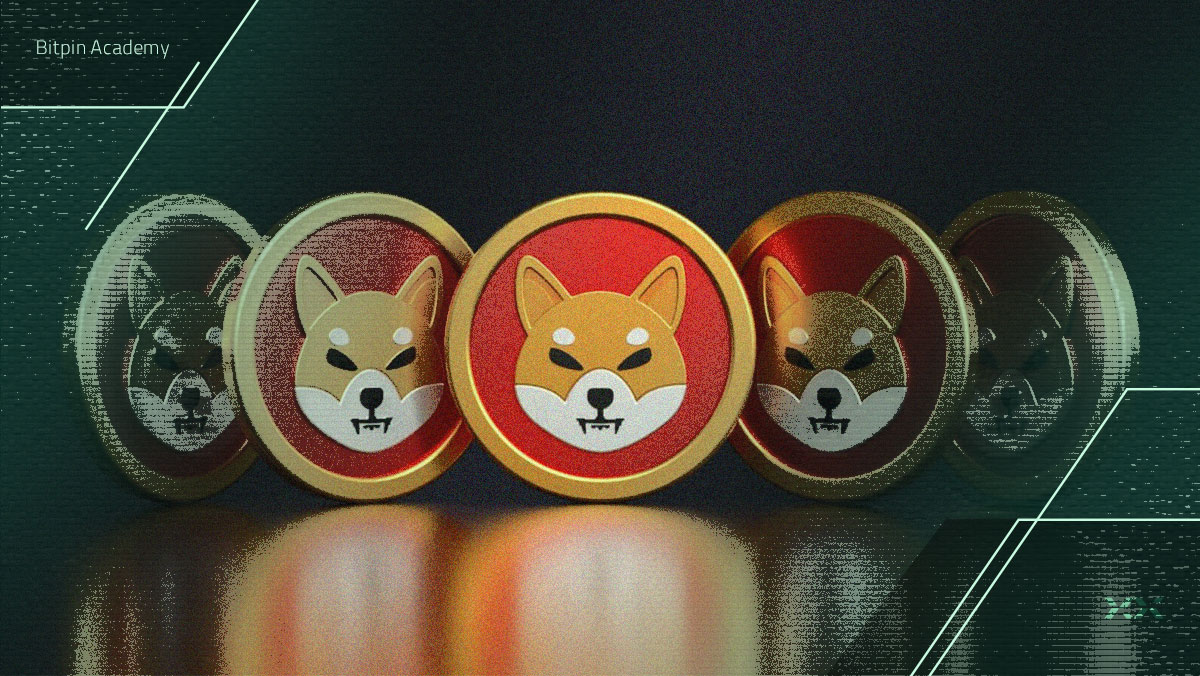 سرمایه‌گذاران بزرگ چه چیزی از شیبا می‌دانند؟