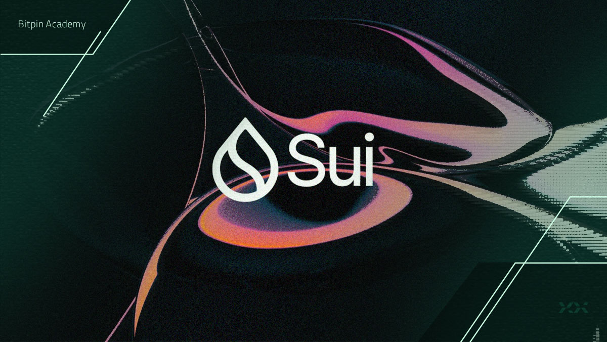 این تحلیلگر می‌گوید سویی (SUI) تا کریسمس به چه قیمتی می‌رسد!