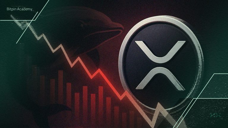 چند درصد از هولدرهای ریپل (XRP) در ضرر هستند؟